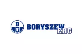 logotyp boryszew